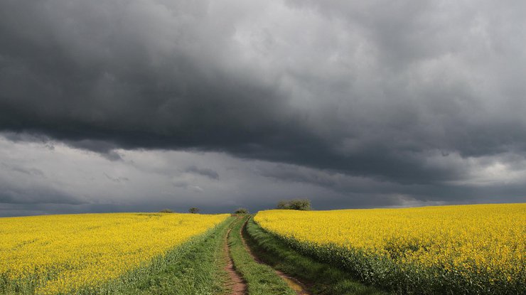 Фото: погода в Украине 