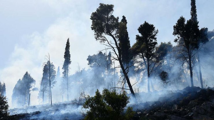 Фото: Пожар в Хорватии / Boris Pejović