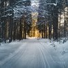 В Украине прогнозируют первый снег