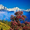 Непал открыл границы для туристов
