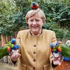 Ангелу Меркель покусали попугаи (фото)