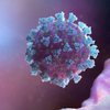 Мутации в человеческом организме защищают от коронавируса 