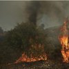 На горе Афон вспыхнул лесной пожар