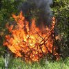 В Украине объявили пожарную опасность: список областей 