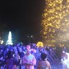 В Кривом Роге в новогоднюю ночь мужчина залез на городскую елку (видео)