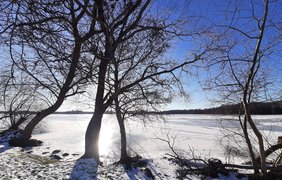 Морозы и много снега: какой будет погода в январе 2022 