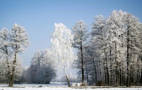 Морозы отступают: прогноз погоды на Старый Новый год