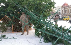В центре Кропивницкого упала главная елка (видео) 