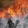 В Колорадо благодаря снегопадам прекратились лесные пожары
