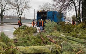 В Одессе торговцы бросили тысячи елок посреди улиц 