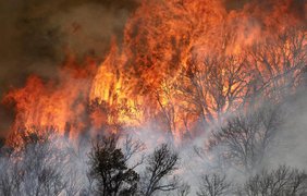 В Колорадо благодаря снегопадам прекратились лесные пожары
