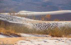 Снег выпал в пустыне Сахара Karim Bouchetta/Bav Media