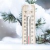 Температура "упадет" до - 18: синоптики заявили о новом похолодании 