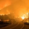 США охватила волна масштабных лесных пожаров (видео)