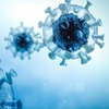 "Блокировка" коронавируса организмом: ученые обнародовали невероятное заявление