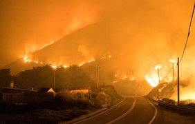 США охватила волна масштабных лесных пожаров (видео)