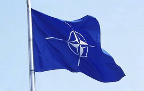 В Германии сделали громкое заявление о вступлении Украины в НАТО