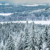 Погода на февраль: синоптики дали морозный прогноз