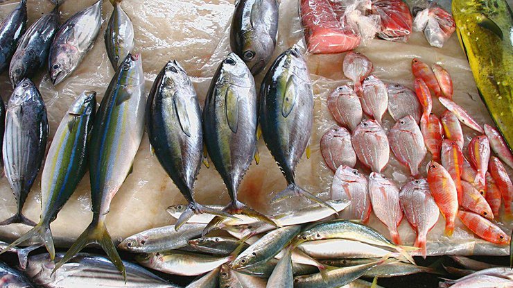 Погибло около 50 тонн рыбы/ фото: РИА Новости