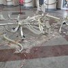 В Днепре на вокзале рухнула огромная люстра