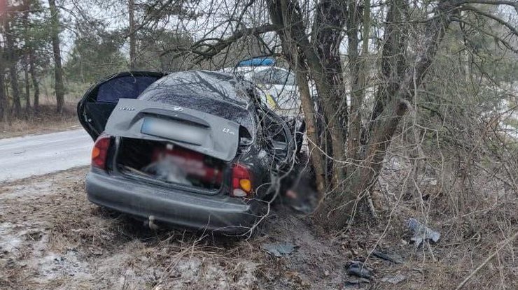 Водитель не справился с управлением и врезался в дерево
