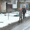 Безпритульні пси накинулися на хлопчика у Запоріжжі