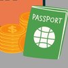 "Экономический паспорт украинца": что нужно знать 