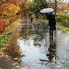 Погода погіршиться: що обіцяють синоптики на 2 жовтня
