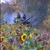 Контрнаступ ЗСУ триває: як українські захисники тримають оборону на Бахмутському напрямку