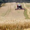 Українські аграрії на 20-30% скоротять посіви зерна