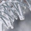 Морози до -25: синоптики дали прогноз на зиму 2022-2023