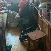 По квартирі гасають таргани: у Києві 5-річну дівчинку тримали під замком з купою собак (фото) 