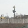 ЗСУ знищили унікальну РЛС у Чорнобаївці 