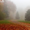Без дощів, але з туманами: синоптики розповіли про погоду
