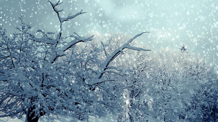 Фото: pixabay