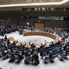 Рада безпеки ООН відхилила резолюцію росії щодо "біолабораторій США в Україні"