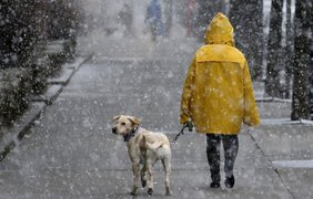 Ожеледиця та мокрий сніг: якою буде погода в Україні 27 листопада