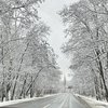 У Києві очікують сильний снігопад