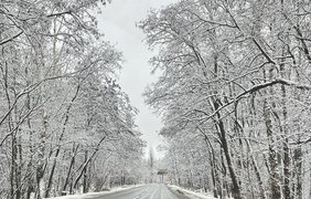 У Києві очікують сильний снігопад