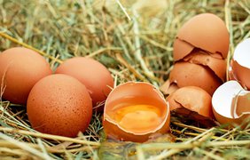 Ціни на яйця в Україні почали знижуватися