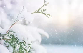 Погода 1 грудня: що обіцяють синоптики у перший день зими