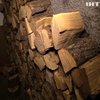 Держава забезпечить громади Дніпропетровщини безкоштовною деревиною