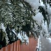 Україну накриє сніг: прогноз погоди на 14 грудня