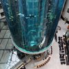 У Берліні луснув найбільший у світі циліндричний акваріум: загинули півтори тисячі тропічних риб (відео)