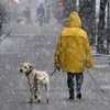 Мокрий сніг та туман: що обіцяють синоптики 25 грудня