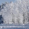 Мороз до -14 та шквальний вітер: якою буде погода в Україні