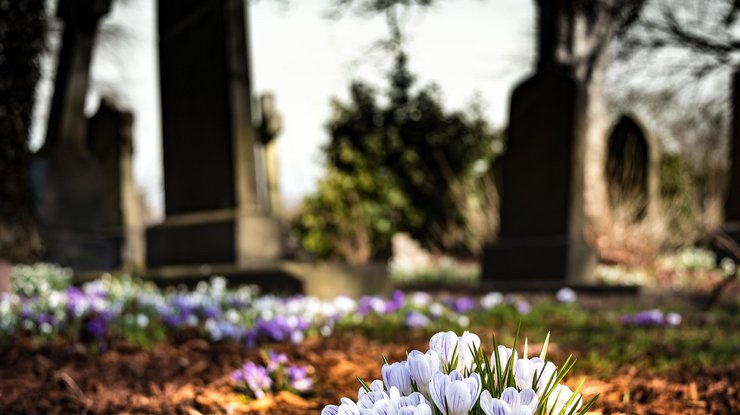Фото: кладбище