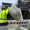У Франції з'явилися живі сміттєвози