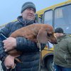 Эвакуация из Киевской области: откуда и как вывезут людей