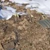 В Одесской области нашли обломки российского самолета (фото)
